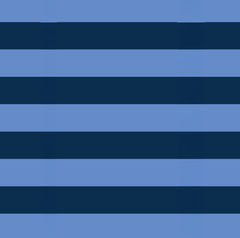 Project Ten Double Zip Project Bag – Blue Stripe