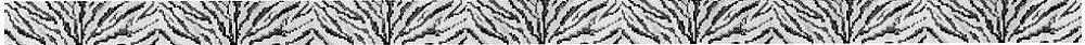 Kate Dickerson Needlepoint Collections Belt - Zebra Stripes - Natural Black & White Needlepoint Canvas