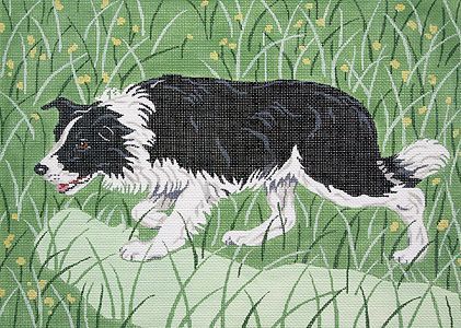 Barbara Russell Border Collie Needlepoint Canvas