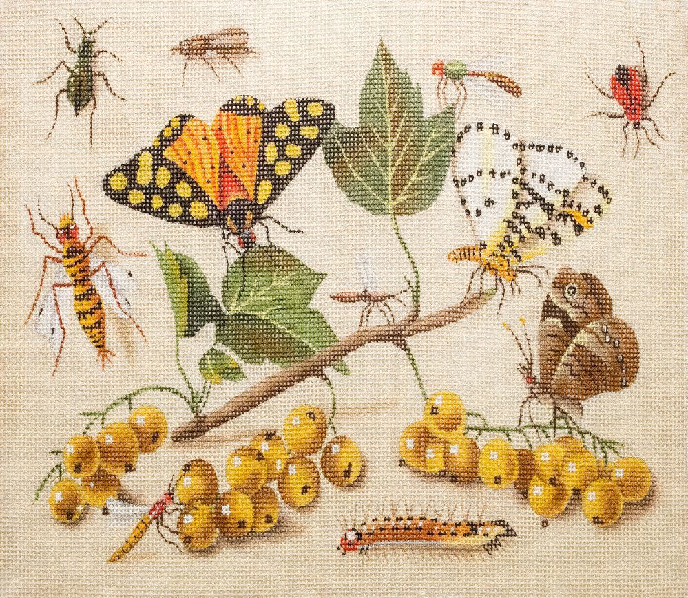 Melissa Shirley Designs Currants and Butterflies Needlepoint Canvas