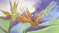 PLD Designs Karen Dukes Dragonflies and Birds of Paradise Needlepoint Canvas