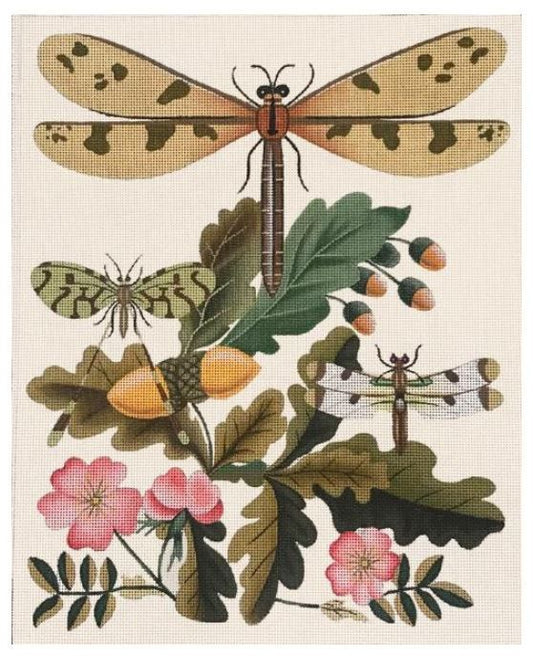 Melissa Shirley Designs Dragonfly - Acorns Needlepoint Canvas