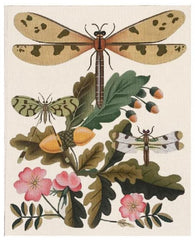 Melissa Shirley Designs Dragonfly - Acorns Needlepoint Canvas