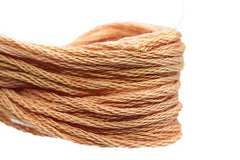 The Gentle Art Sampler Threads - 0530 Pumpkin Patch - 5 yds