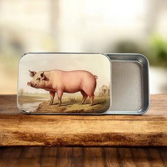 Firefly Notes Vintage Pig Magnetic Notions Tin Needle Case