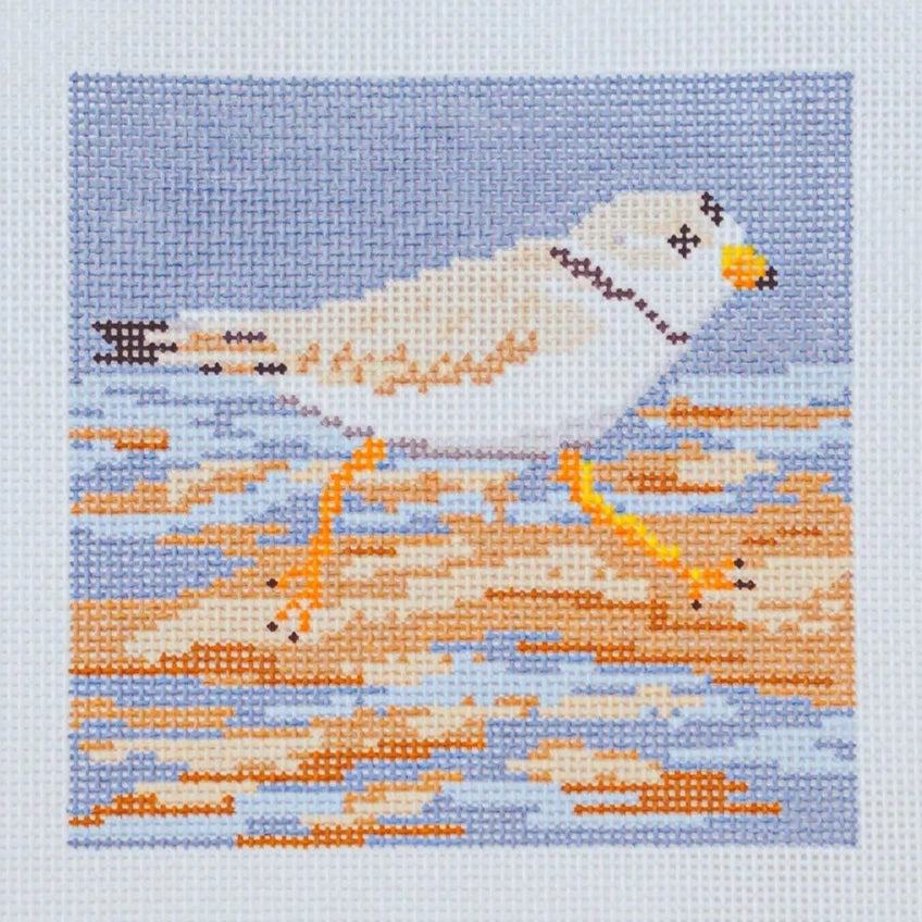 Ann Kaye Studio Piping Plover Needlepoint Canvas