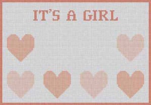 The Meredith Collection Treglown Designs Girl Birth Announce Needlepoint Canvas