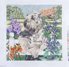 Barbara Russell Bouvier des Flandres Dog Needlepoint Canvas