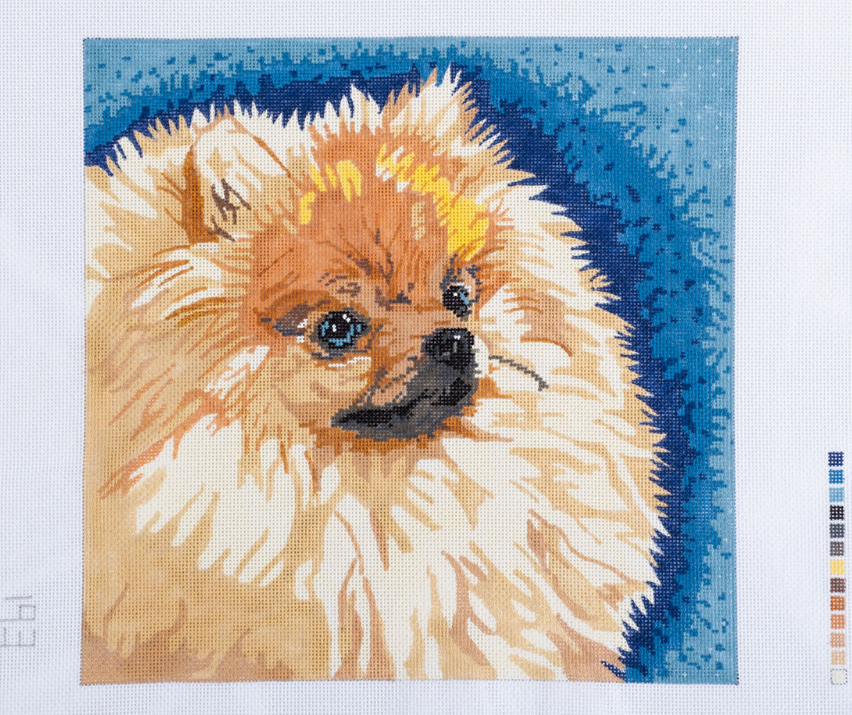 Barbara Russell Pomeranian Dog Needlepoint Canvas