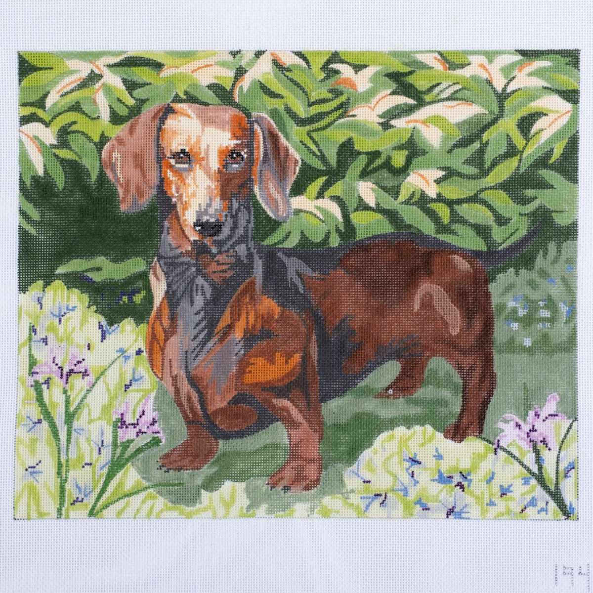 Barbara Russell Short-haired Dachshund Dog Needlepoint Canvas