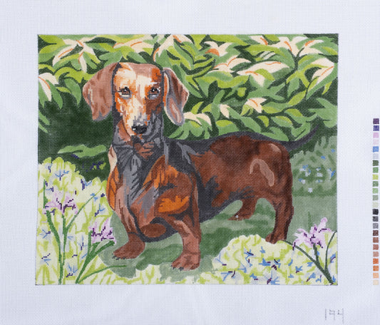 Barbara Russell Short-haired Dachshund Dog Needlepoint Canvas