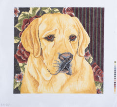 Barbara Russell Designs Barbara Russell Yellow Lab w/ Floral Background Needlepoint Canvas