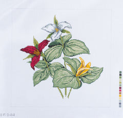 Barbara Russell Wildflower: Trillium Needlepoint Canvas