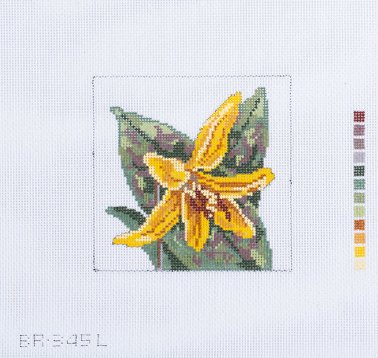 Barbara Russell Wildflower Coaster: Trout Lily Needlepoint Canvas