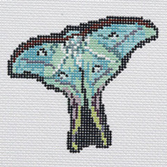 Barbara Russell Designs Indian Moon Moth Pin Needlepoint Canvas