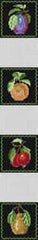 The Meredith Collection Treglown Designs Fruit Coasters Needlepoint Canvas