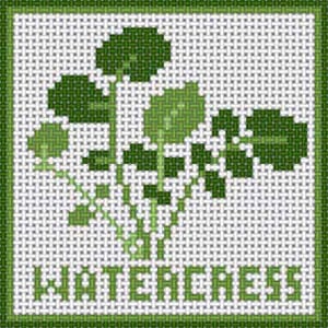 The Meredith Collection Treglown Designs Watercress Needlepoint Canvas