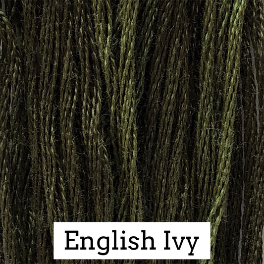 Classic Colorworks Cotton Floss - English Ivy