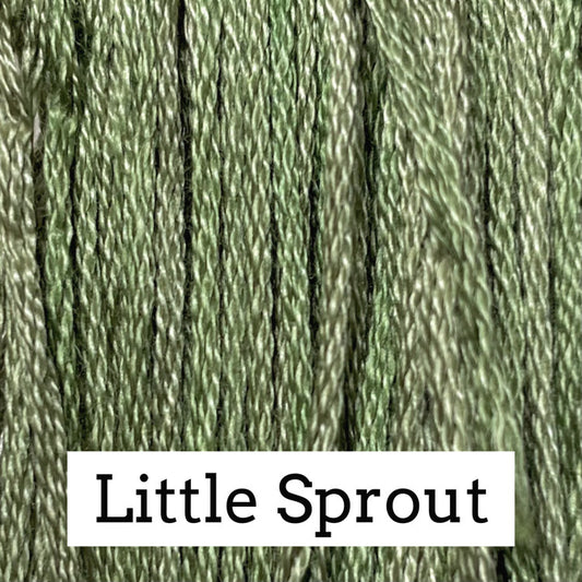 Classic Colorworks Cotton Floss - Little Sprout