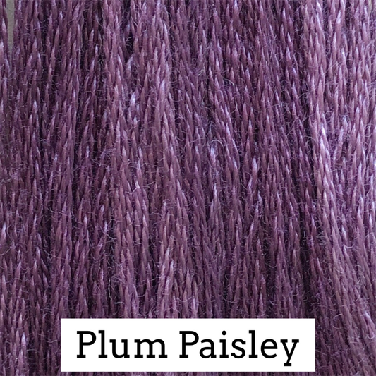 Classic Colorworks Cotton Floss - Plum Paisley