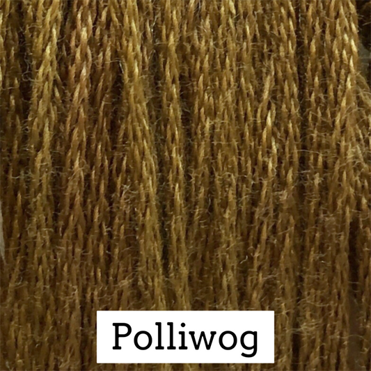 Classic Colorworks Cotton Floss - Polliwog