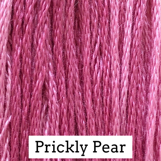 Classic Colorworks Cotton Floss - Prickly Pear