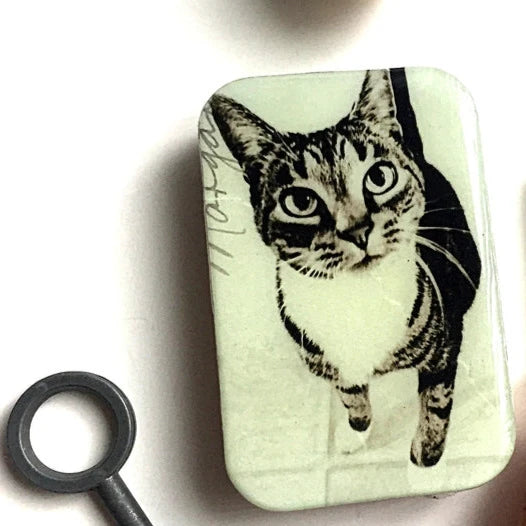 Firefly Notes Cat Magnetic Notions Tin Needle Case