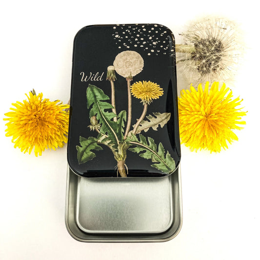 Firefly Notes Dandelion Magnetic Notions Tin Needle Case