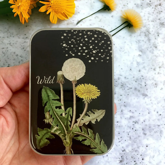 Firefly Notes Dandelion Magnetic Notions Tin Needle Case