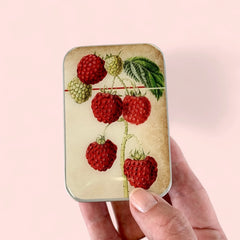 Firefly Notes Raspberry Magnetic Notions Tin Needle Case
