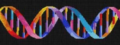 The Meredith Collection Treglown Designs Colorful Dna Pattern Needlepoint Canvas