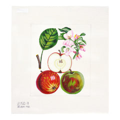 Melissa Shirley Designs Apples with Flower Needlepoint Canvas