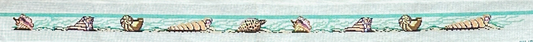 Julia's Needleworks Sea Shells Belt Needlepoint Canvas