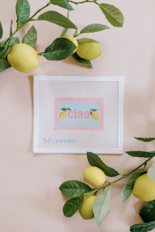 Le Point Studio Ciao Needlepoint Canvas