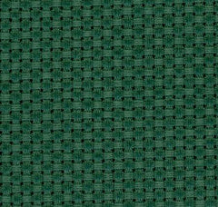 Finishing: Lecien Cosmo 14 ct Aida Cloth - Forest Green