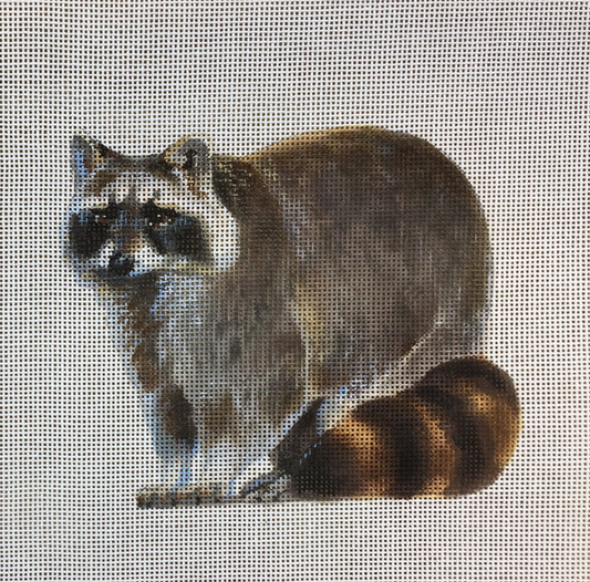 Liz Goodrick Dillon Raccoon Needlepoint Canvas