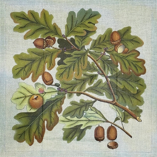 Melissa Shirley Oak Leaves & Acorns Needlepoint Canvas