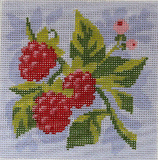 PLD Designs Abigail Cecile Raspberry Square Needlepoint Canvas