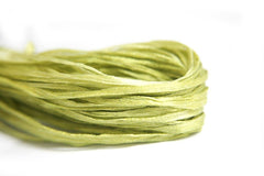 Silk Road Straw Silk - 0460 Katy-did