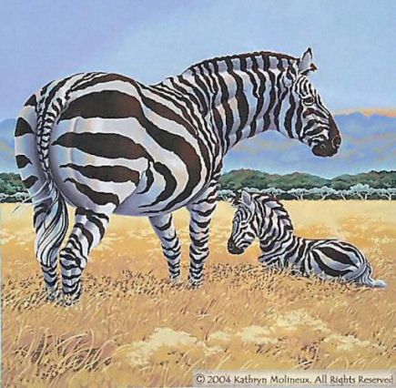 Shorebird Studios Zebras Needlepoint Canvas