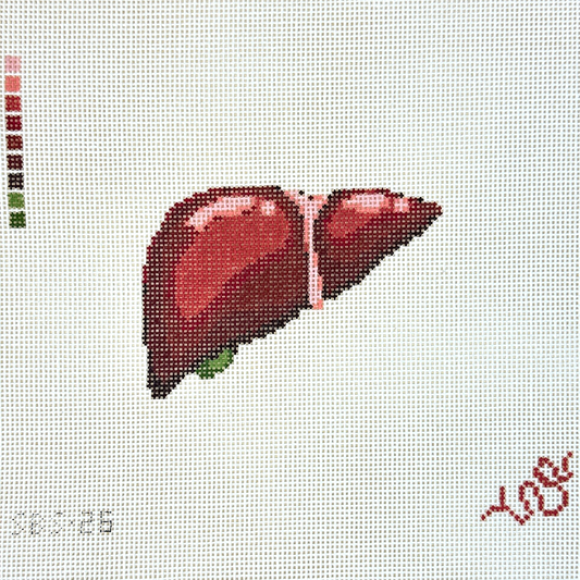Spellbound Stitchery Anatomical Liver Needlepoint Canvas
