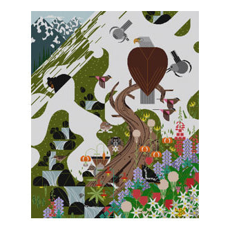 The Meredith Collection Charley Harper Designs Alpine Northwest Needlepoint Canvas