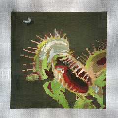 The Gingham Stitchery Fly Trap Needlepoint Canvas