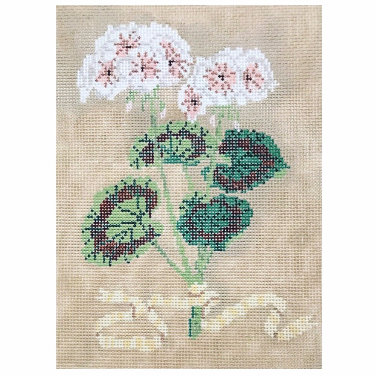 The Plum Stitchery Geraniums Needlepoint Canvas