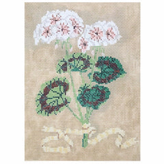 The Plum Stitchery Geraniums Needlepoint Canvas