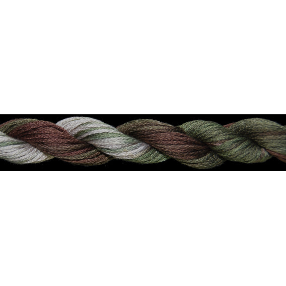 Threadworx Overdyed Cotton Floss - 11171 Into The Woods