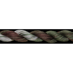 Threadworx Overdyed Cotton Floss - 11171 Into The Woods