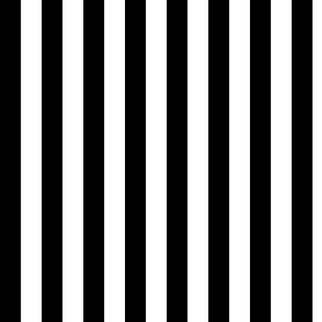 Finishing: Tula Pink Fabric Tent Stripe - Black and White