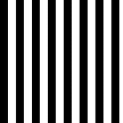 Finishing: Tula Pink Fabric Tent Stripe - Black and White