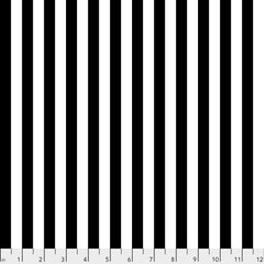 Finishing: Tula Pink Fabric Tent Stripe - Black and White
